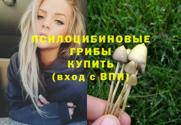 шишки Алзамай