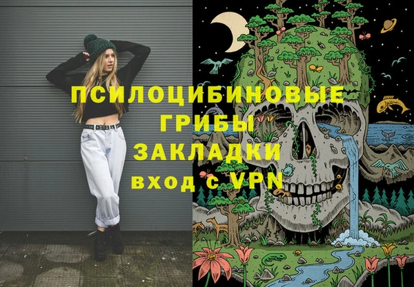 шишки Алзамай