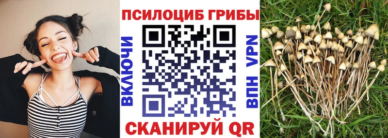 мега вход  как найти   Курган  Галлюциногенные грибы прущие грибы 