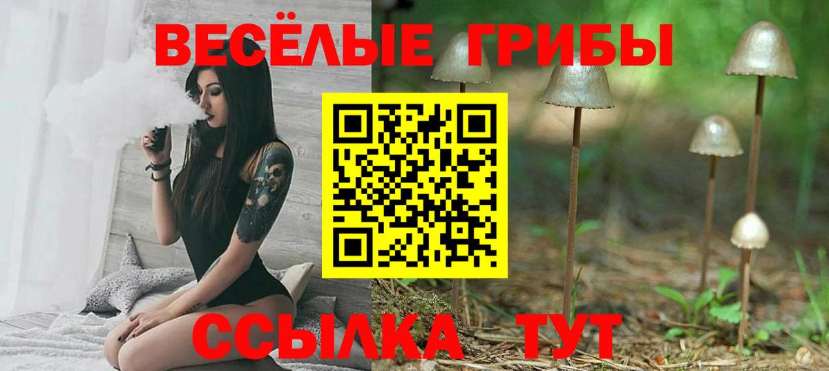 Курган  купить   Вход с VPN  Галлюциногенные грибы Psilocybine cubensis 
