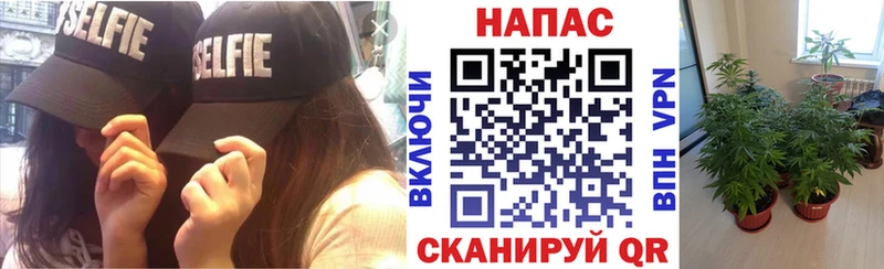 Каннабис марихуана Курган