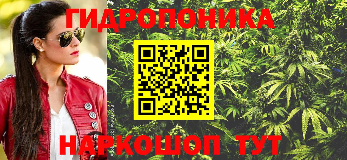 Конопля гибрид Курган